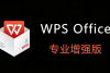 ������ WPS 2025 רҵ����ǿ�棬����������Ȩ������Ѹ������